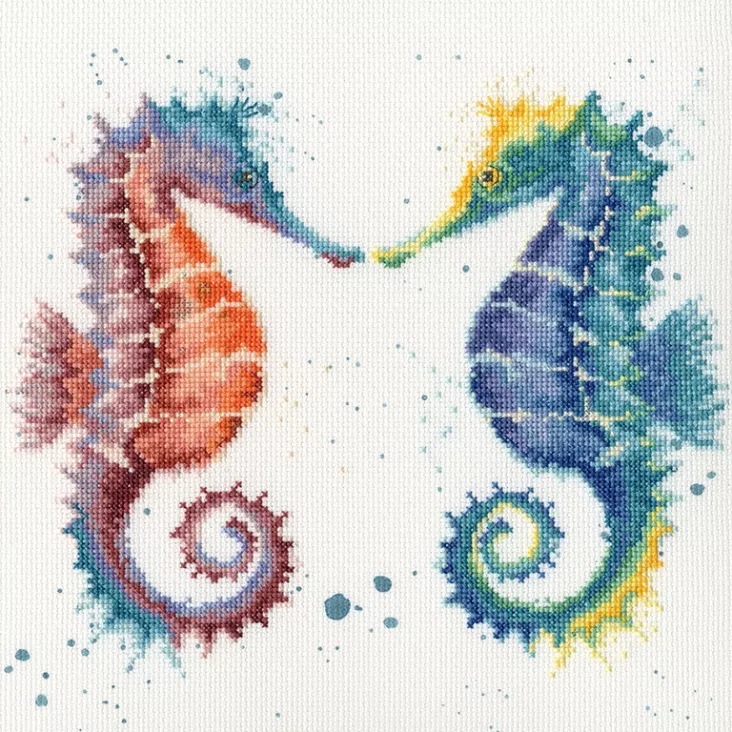 (image for) Shell We Dance?